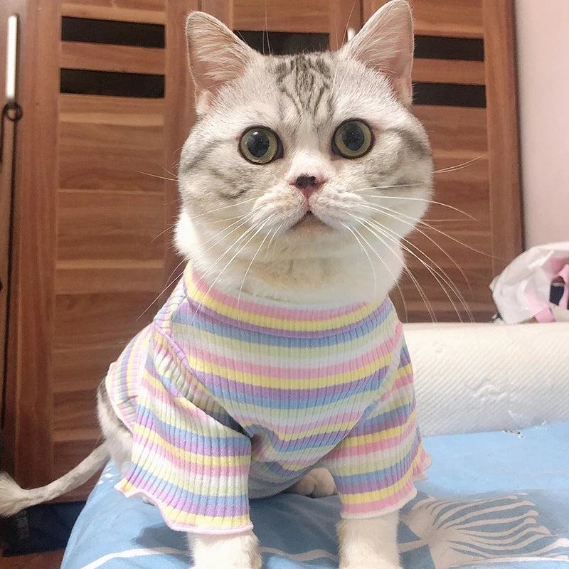 Spring Cotton Pet Cat Clothes for Cats Gotas Mascotas Clothing Sweet Stripe Puppy Sphynx Cat Katten Vest Shirt ubranie dla kota