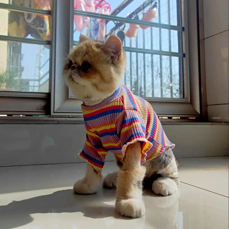 Spring Cotton Pet Cat Clothes for Cats Gotas Mascotas Clothing Sweet Stripe Puppy Sphynx Cat Katten Vest Shirt ubranie dla kota