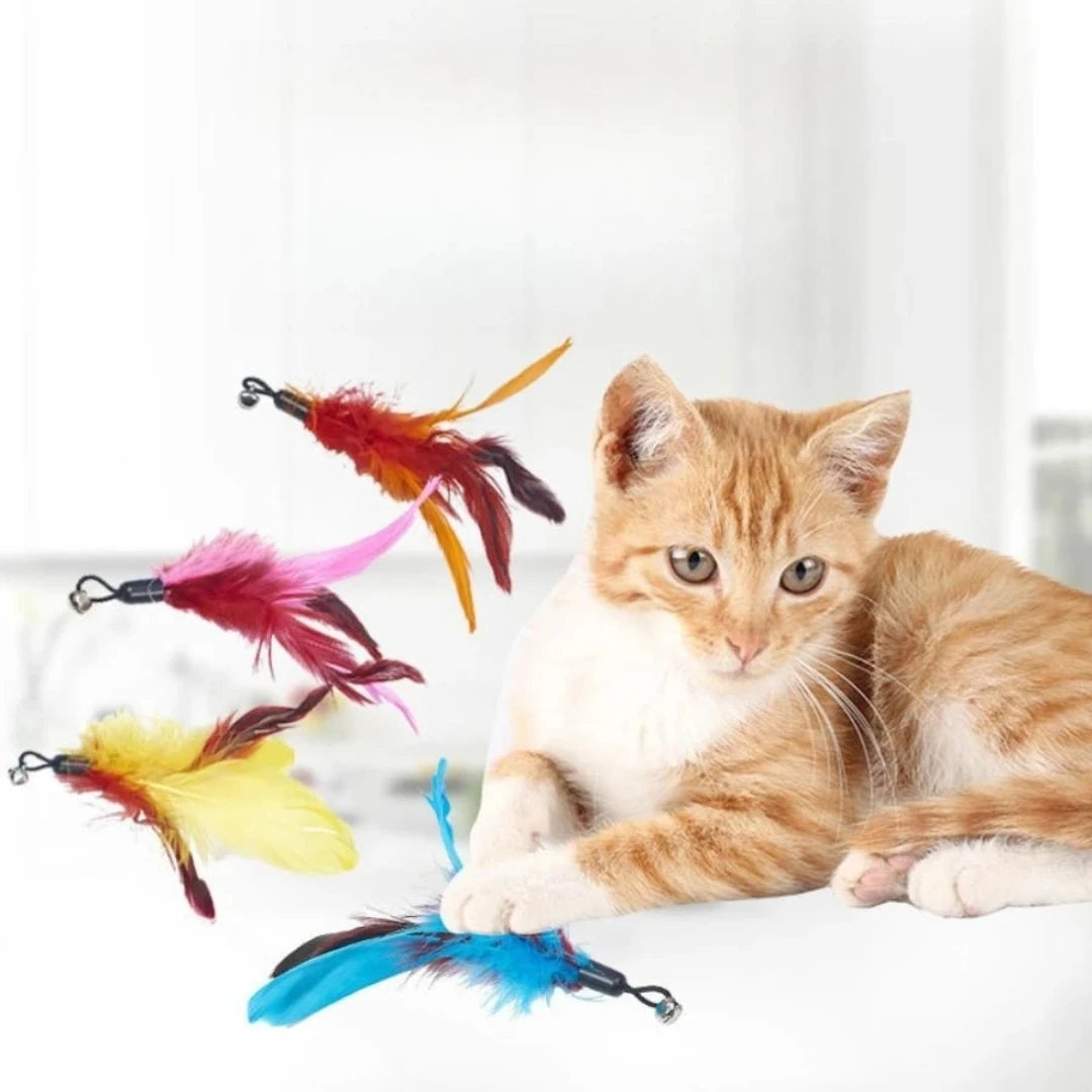 Pet cat toy feather replacement head teasing cat rod fishing rod caterpillar teasing cat toy set of 11