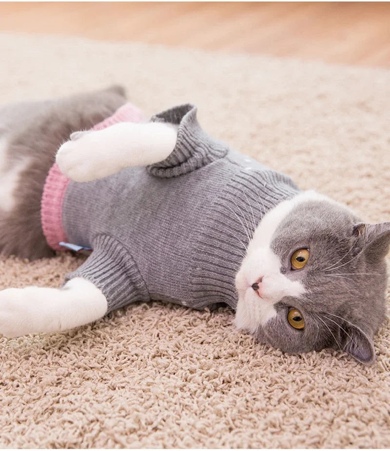 New Design SWC Cat Sweater, Dog Sweater, Cat Clothes for the Cold Season, 3 Colors Available (A9461)