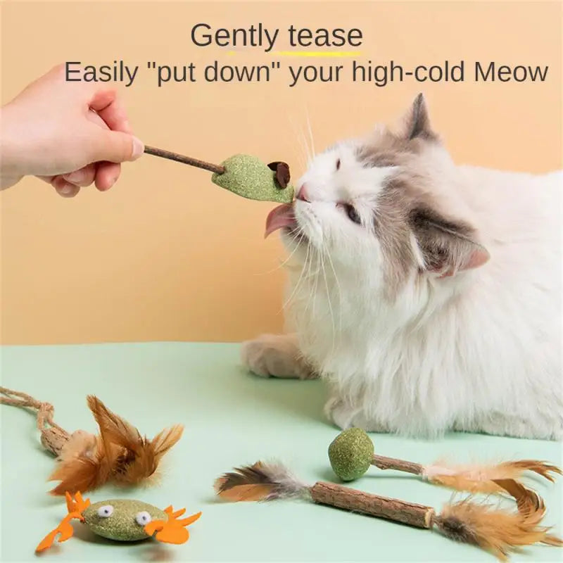 Pet Catnip Toys Edible Catnip Ball Safety Healthy CatMint Cats Home Chasing Game Toy Products Clean Teeth And Stomach Cat Mint