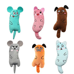 Cute Cat Toys Funny Interactive Plush Cat Toy Mini Teeth Grinding Catnip Toys Kitten Chewing Squeaky Toy Pets Accessories