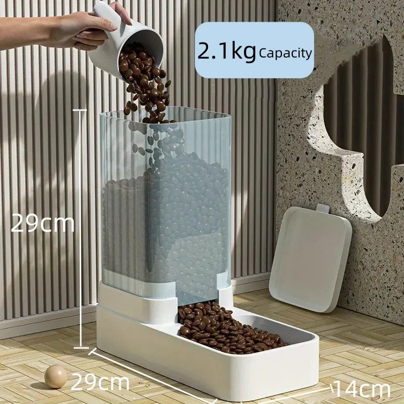 43450035568820