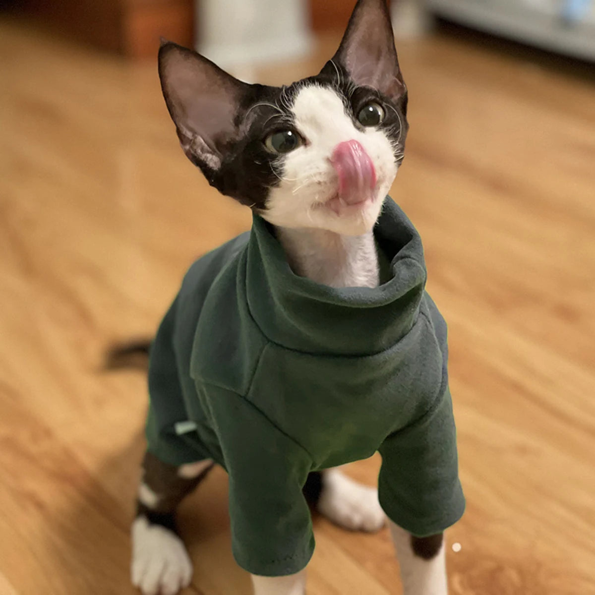 Sphynx Cat Clothes Baby Soft Cotton Fall Winter Kitten Small Dog Clothes for Cornish Devon Cat Costume Hairless Pet Clothes