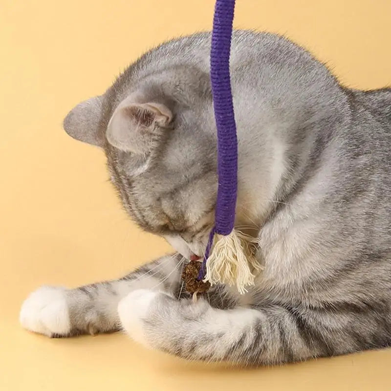 Cotton Rope Cat Scratcher Rope Toy Bite-resistant Chewing Cat Toy Interactive Cat Teaser Wand String pet Teething Toys