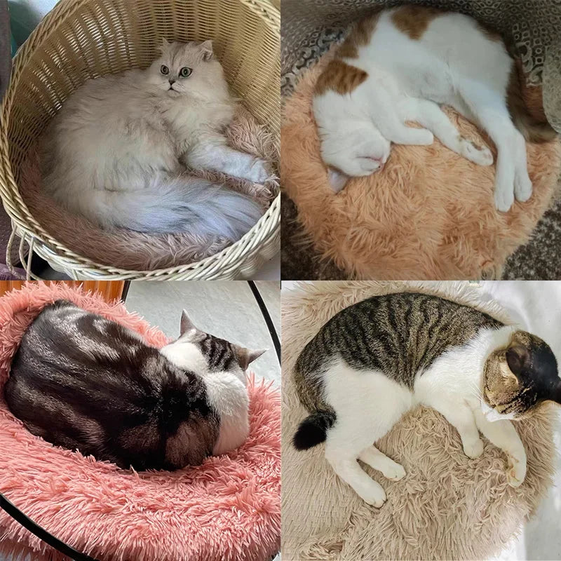 Soft Plush Round Cat Bed Mat for Small Dogs Cats Cozy Fleece Pet Sleeping Mat Kitten Puppy Nest Warm Pet Cushion Cat Accessories